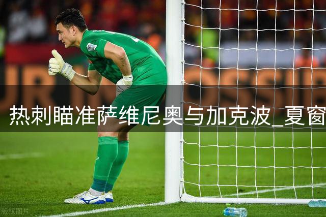 热刺瞄准萨维尼奥与加克波 夏窗补强进攻火力提速